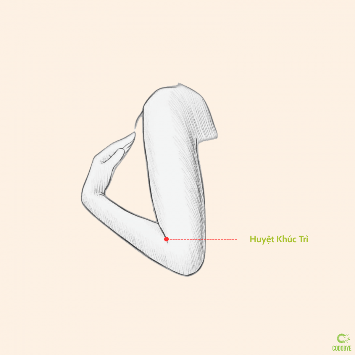 Huyệt Khúc Trì thanh nhiệt, giảm mụn viêm