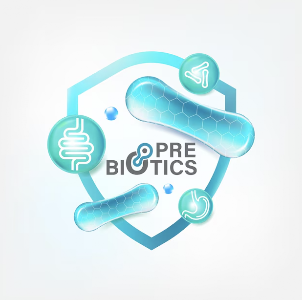 Prebiotic nuôi lợi khuẩn, cải thiện tiêu hóa và nội tiết