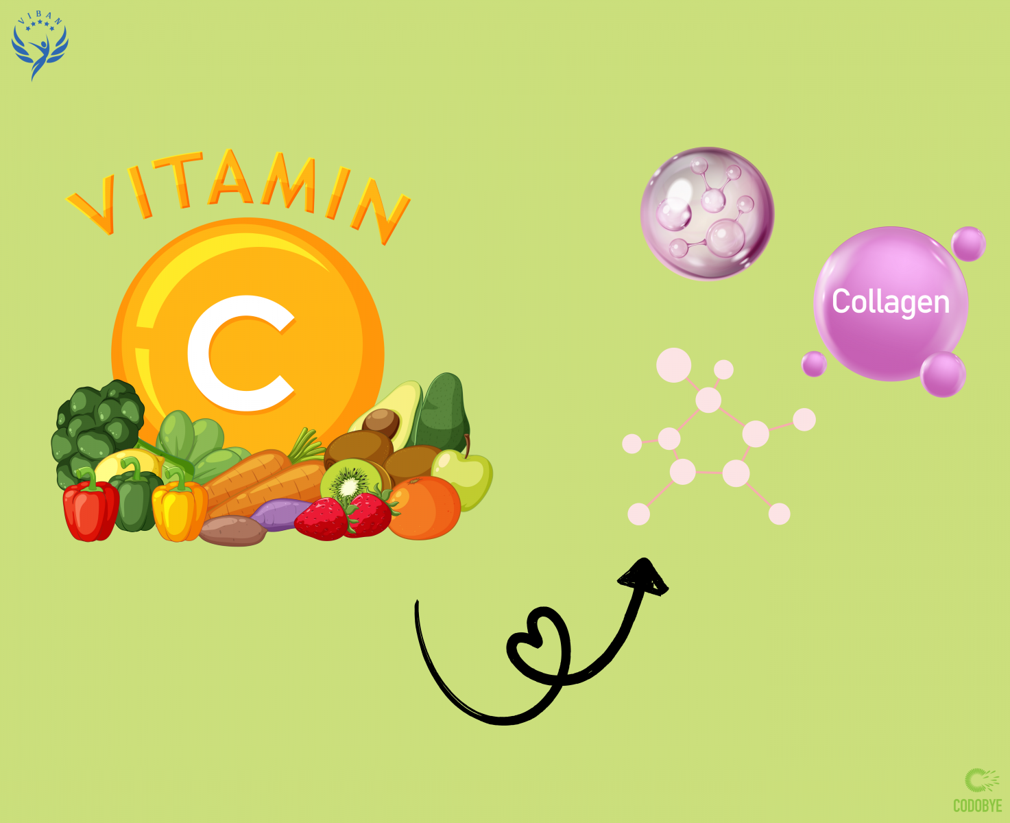 Vitamin C tham gia vào quá trình tổng hợp collagen và bảo vệ cấu trúc da