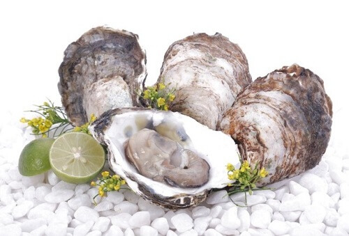 Mẫu lệ là vỏ xác của loài nhuyễn thể