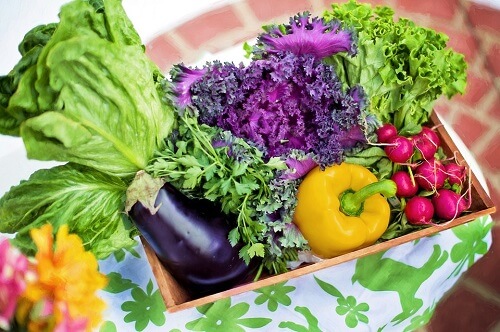 Thực phẩm mát gan, thanh lọc cơ thể ngăn ngừa mụn hiệu quả