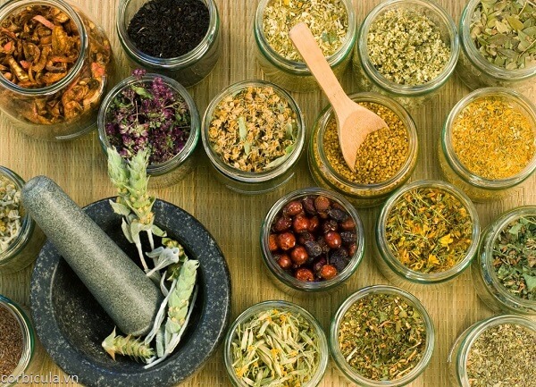 Tư vấn hỏi - đáp: Có nên sử dụng các sản phẩm trị mụn thảo dược hay không?
